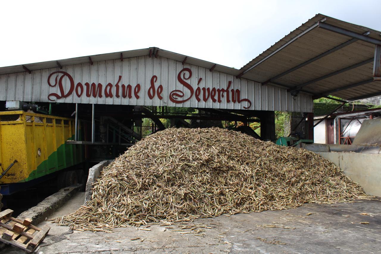 Au Bout Du Rêve